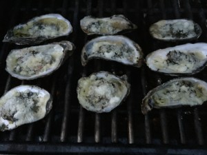 Oysters