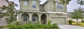 19310 WATER MAPLE DR, TAMPA, FL 33647