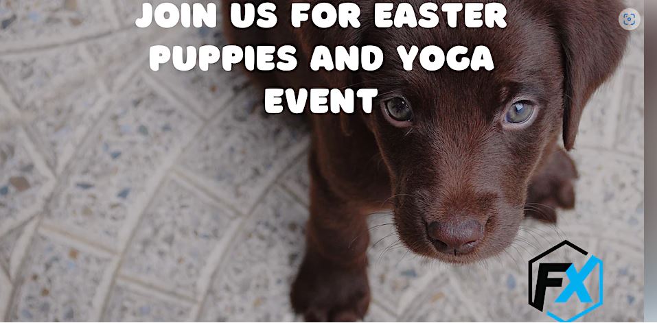 Easter Puppy and yoga