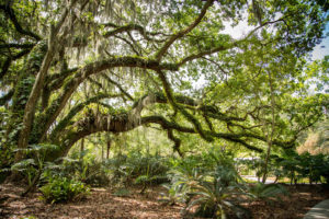 Another great park to visit in tampa bay